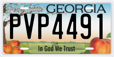 GA license plate PVP4491