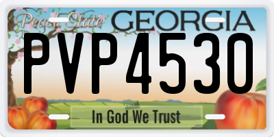 GA license plate PVP4530