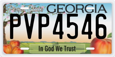 GA license plate PVP4546