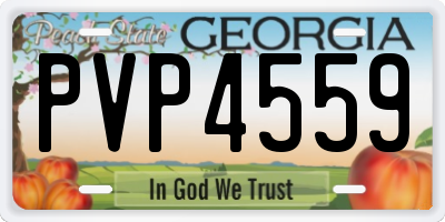 GA license plate PVP4559