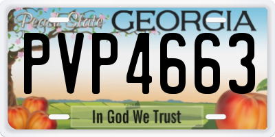GA license plate PVP4663