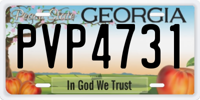GA license plate PVP4731