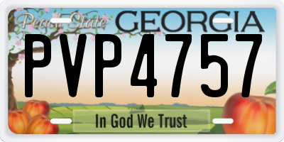 GA license plate PVP4757
