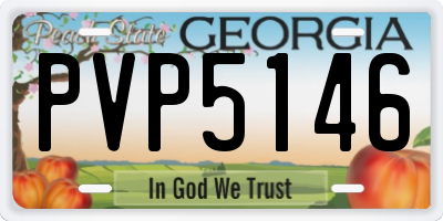 GA license plate PVP5146