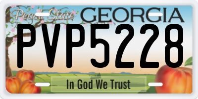 GA license plate PVP5228