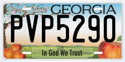 GA license plate PVP5290