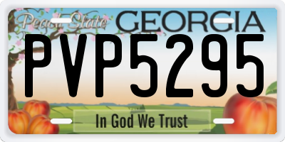 GA license plate PVP5295