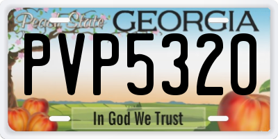 GA license plate PVP5320