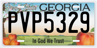 GA license plate PVP5329