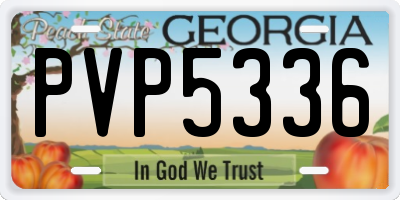 GA license plate PVP5336