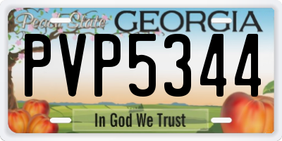 GA license plate PVP5344