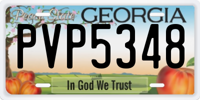GA license plate PVP5348
