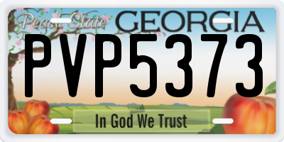 GA license plate PVP5373