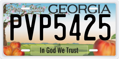 GA license plate PVP5425