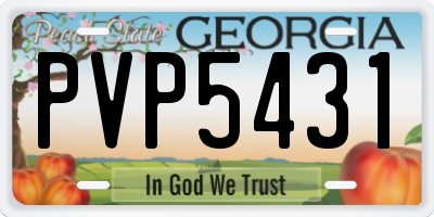 GA license plate PVP5431