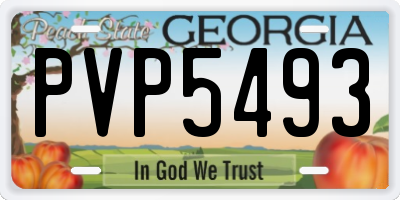 GA license plate PVP5493