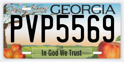 GA license plate PVP5569