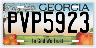 GA license plate PVP5923