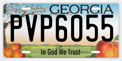 GA license plate PVP6055