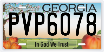 GA license plate PVP6078
