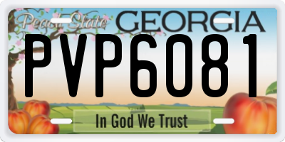 GA license plate PVP6081
