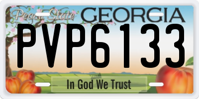 GA license plate PVP6133