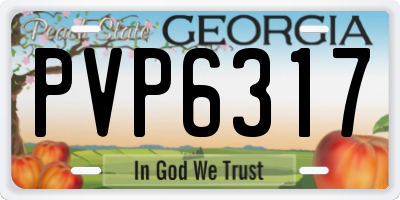 GA license plate PVP6317