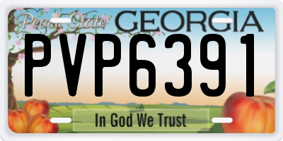 GA license plate PVP6391