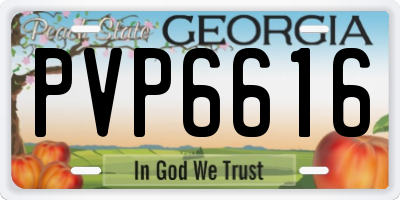 GA license plate PVP6616