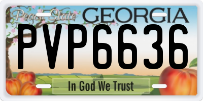 GA license plate PVP6636