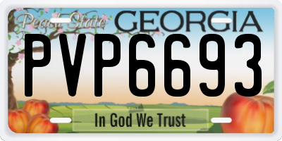 GA license plate PVP6693