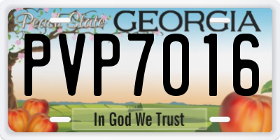 GA license plate PVP7016