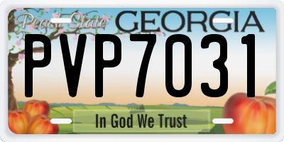 GA license plate PVP7031
