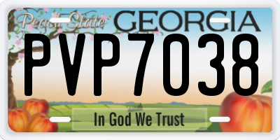GA license plate PVP7038