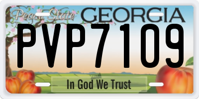 GA license plate PVP7109