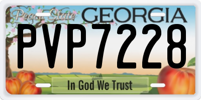 GA license plate PVP7228