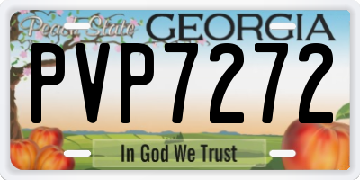GA license plate PVP7272