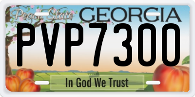 GA license plate PVP7300
