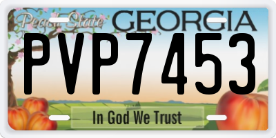 GA license plate PVP7453