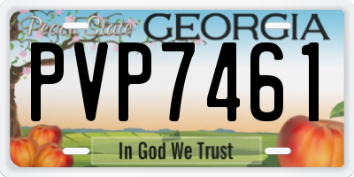 GA license plate PVP7461