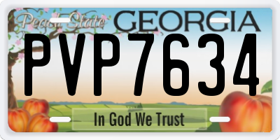 GA license plate PVP7634