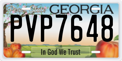 GA license plate PVP7648