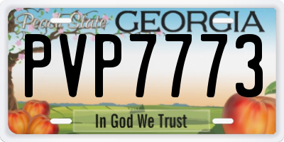 GA license plate PVP7773