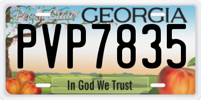 GA license plate PVP7835