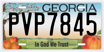 GA license plate PVP7845