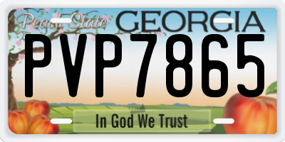 GA license plate PVP7865