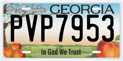 GA license plate PVP7953