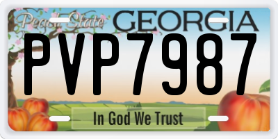 GA license plate PVP7987
