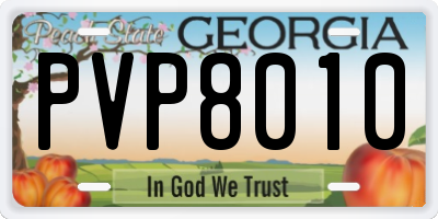 GA license plate PVP8010