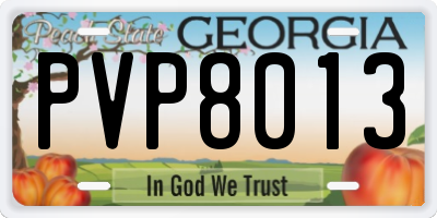 GA license plate PVP8013
